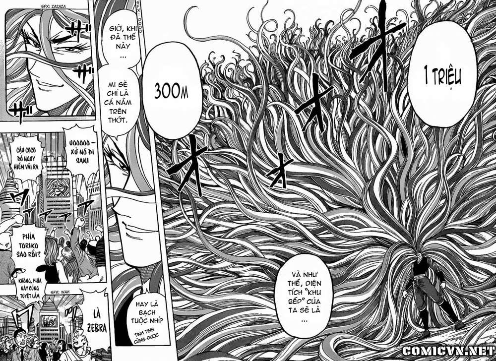 Toriko - Thợ Săn Ẩm Thực - Chương 198 - Trang 13