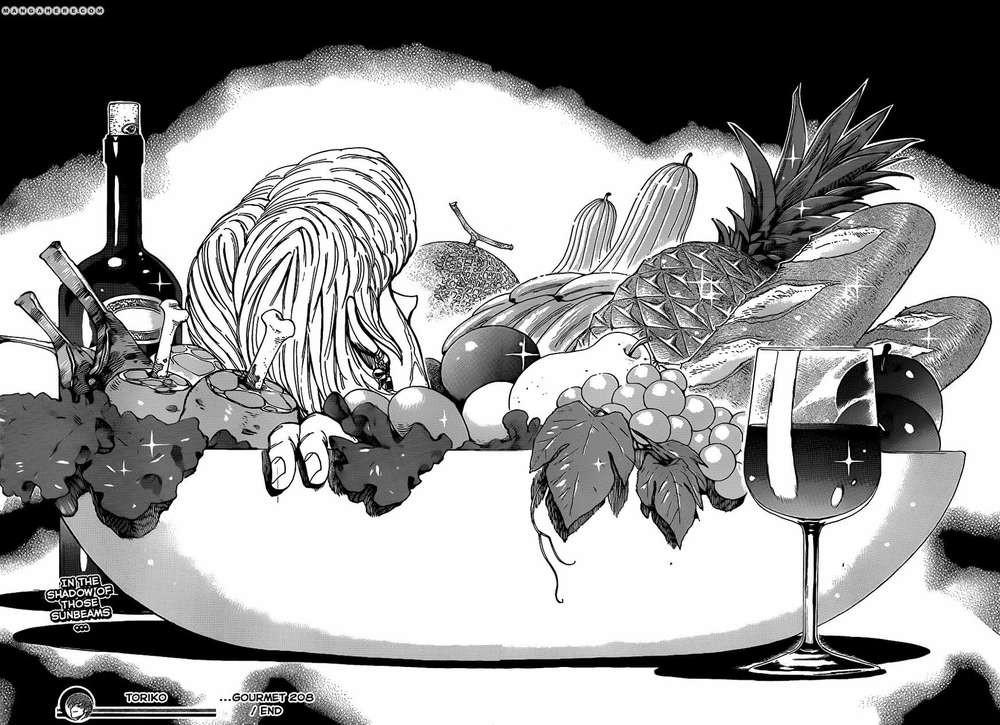 Toriko - Thợ Săn Ẩm Thực - Chương 208 - Trang 18