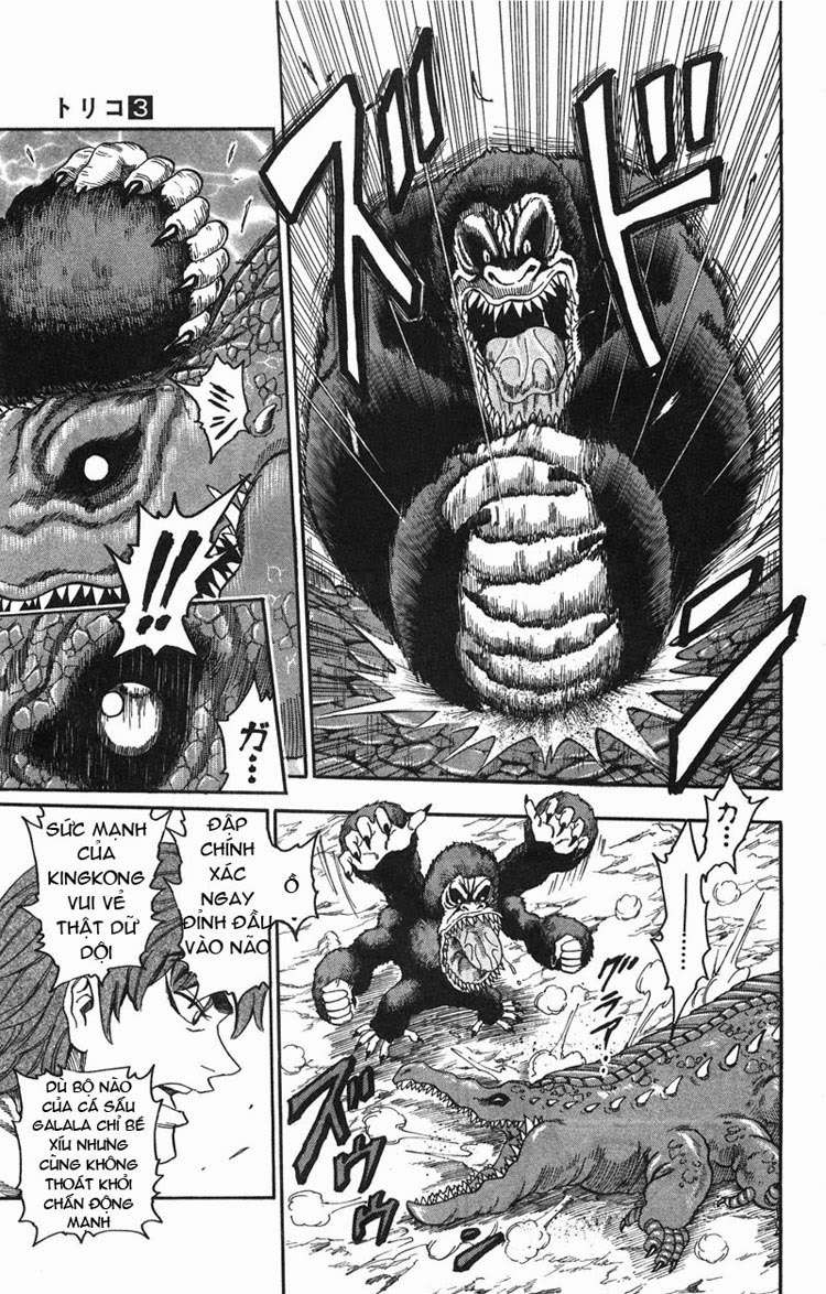 Toriko - Thợ Săn Ẩm Thực - Chương 21 - Trang 9
