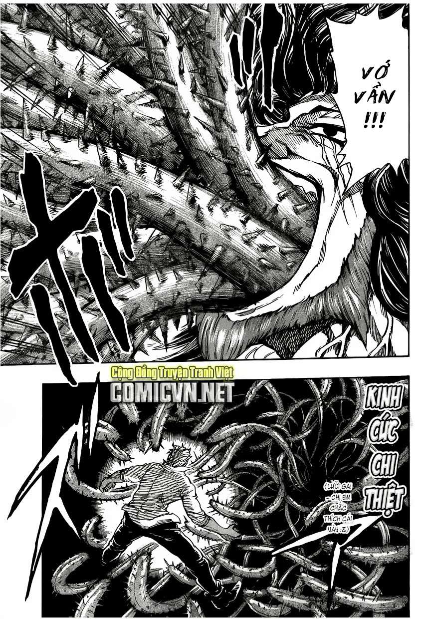Toriko - Thợ Săn Ẩm Thực - Chương 248 - Trang 10
