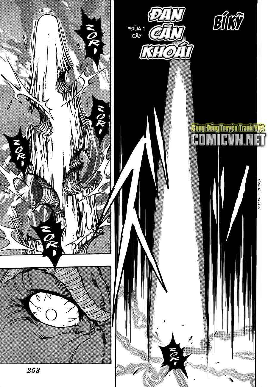 Toriko - Thợ Săn Ẩm Thực - Chương 249 - Trang 15