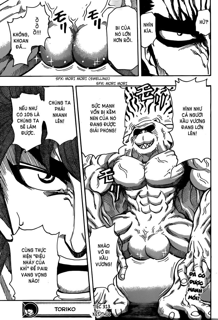 Toriko - Thợ Săn Ẩm Thực - Chương 313 - Trang 18