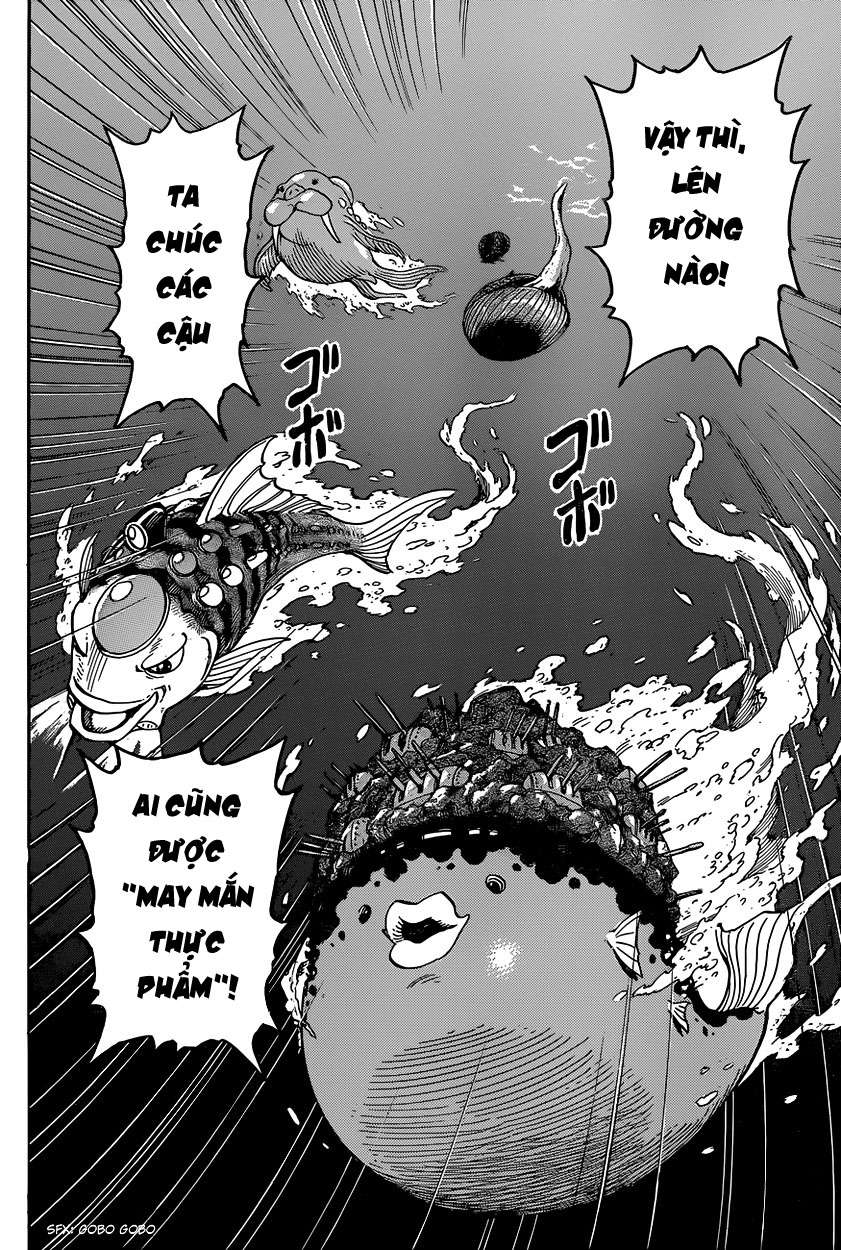 Toriko - Thợ Săn Ẩm Thực - Chương 327 - Trang 5