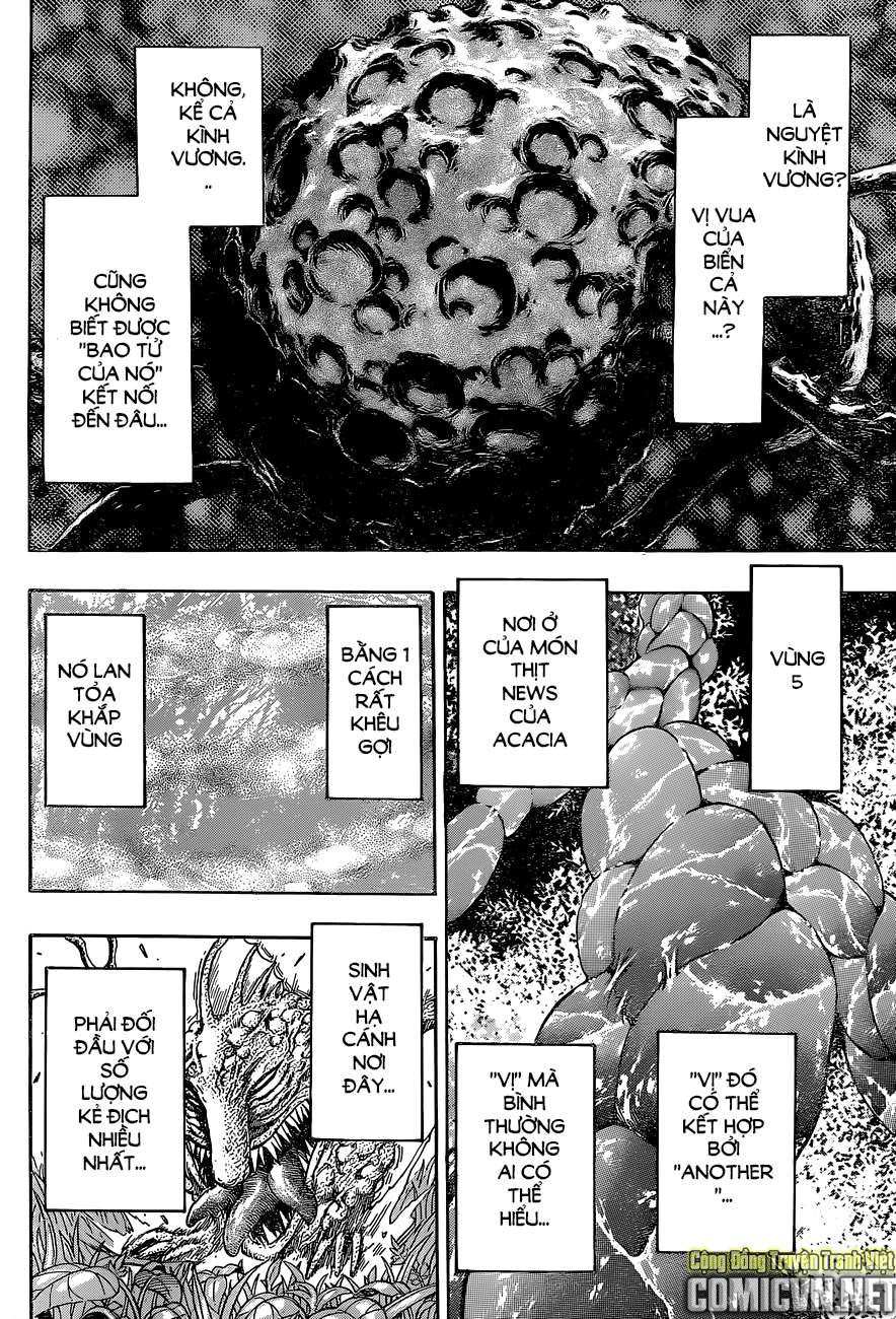 Toriko - Thợ Săn Ẩm Thực - Chương 341 - Trang 13