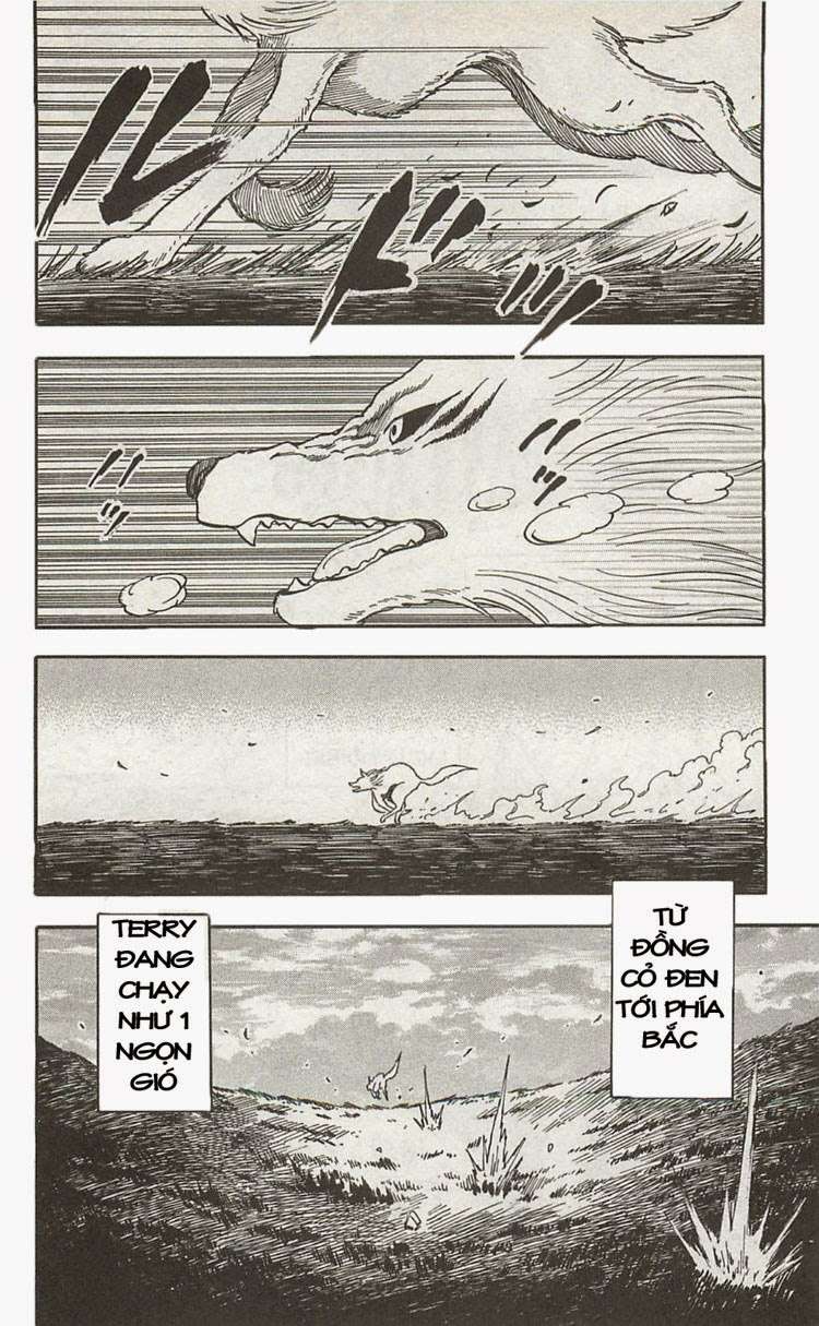 Toriko - Thợ Săn Ẩm Thực - Chương 36 - Trang 8