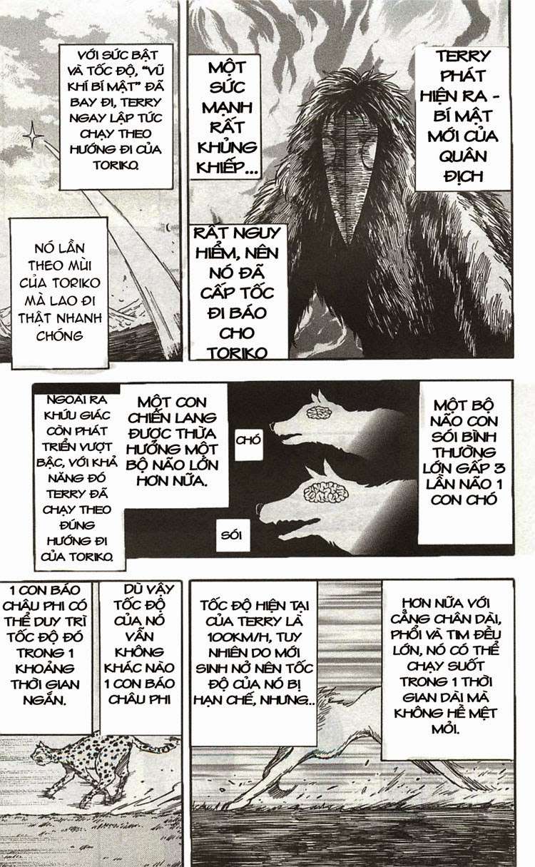 Toriko - Thợ Săn Ẩm Thực - Chương 36 - Trang 9