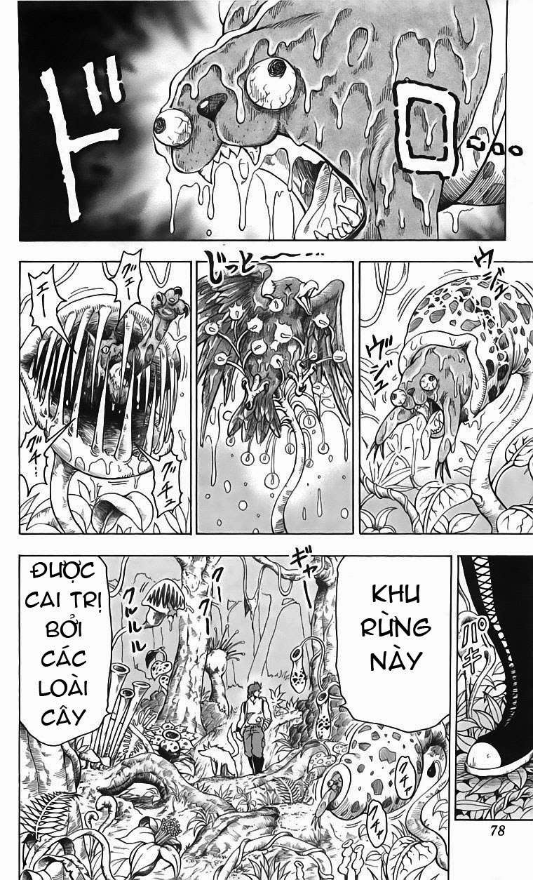 Toriko - Thợ Săn Ẩm Thực - Chương 56 - Trang 13