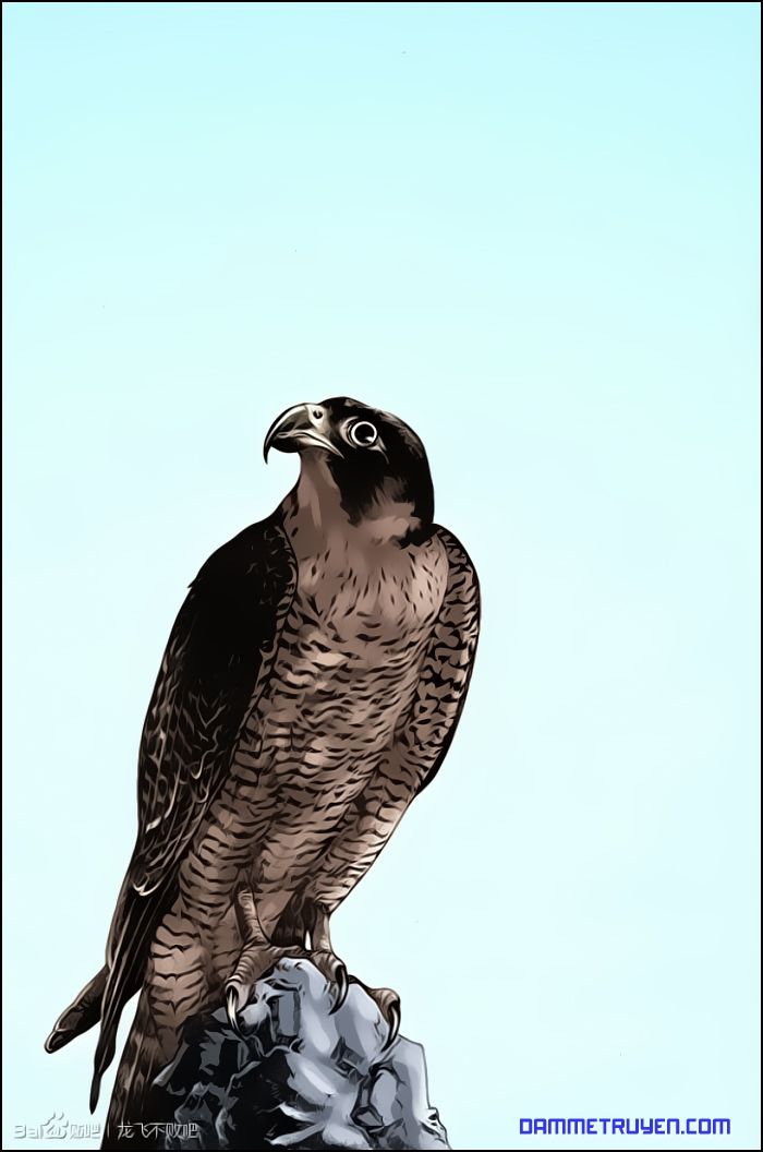 Long Phi Bất Bại 2 - Chương 14 - Trang 19