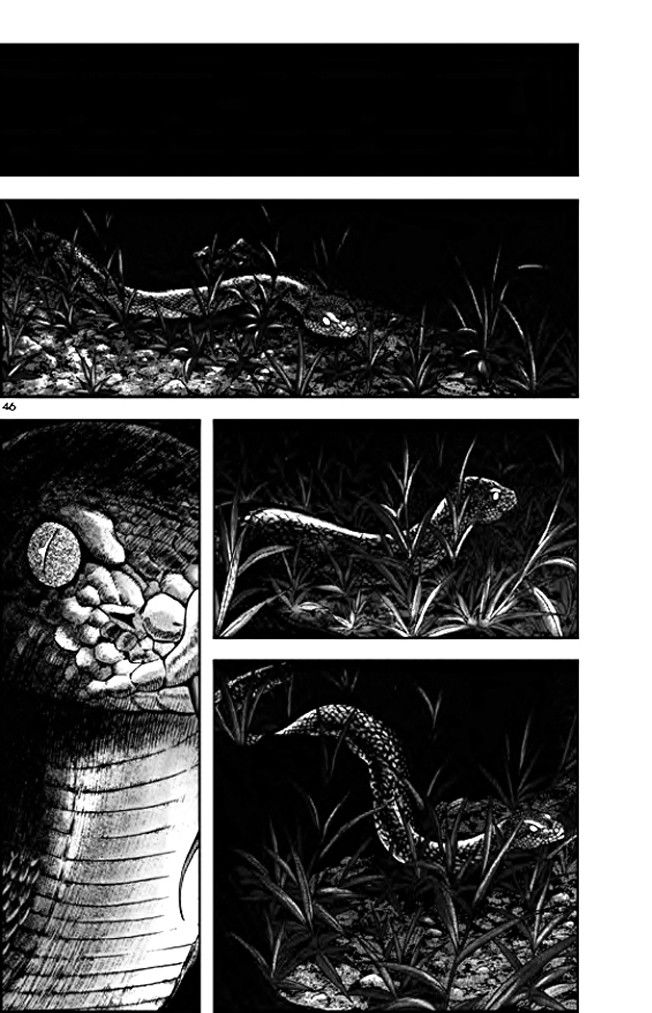 Long Phi Bất Bại 2 - Chương 8 - Trang 16