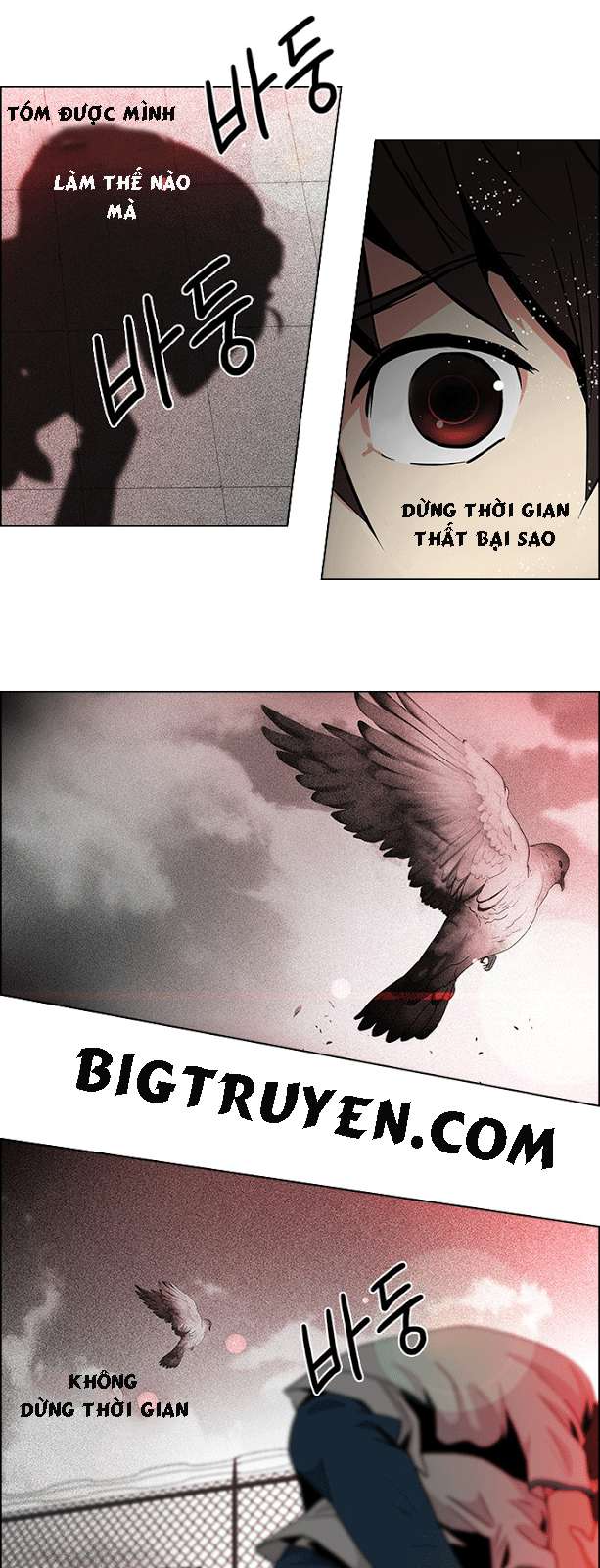 Dice - Chương 65 - Trang 13