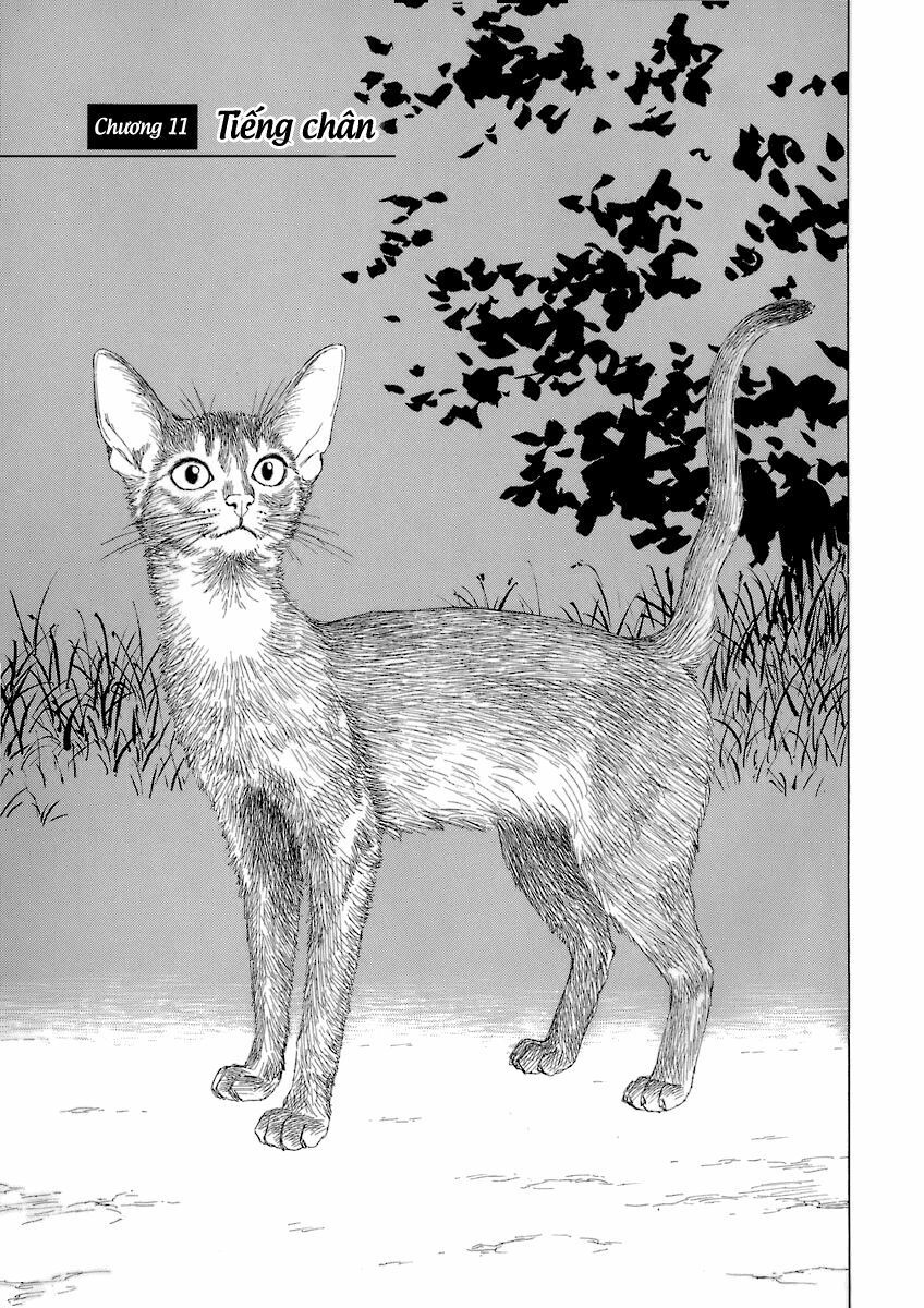 Historie - Chương 11 - Trang 2