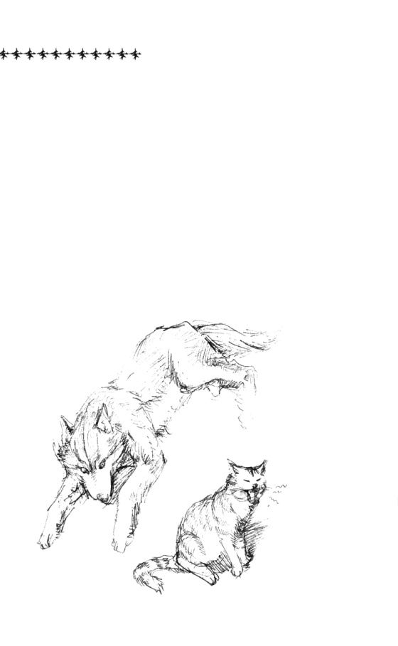 Togari - Chương 16 - Trang 22