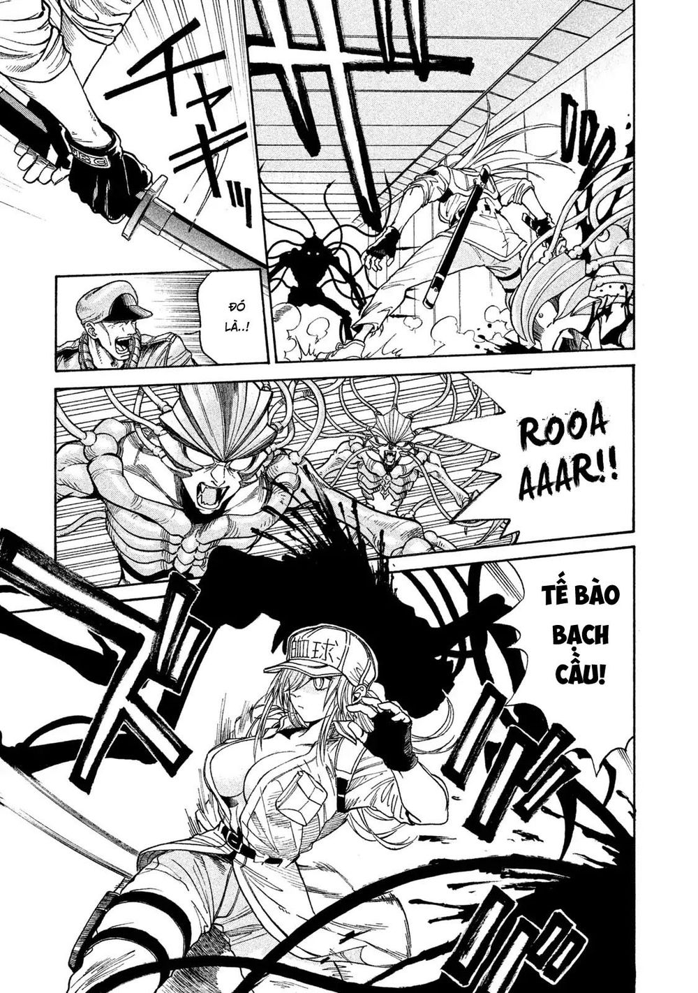 Hataraku Saibou Black - Chương 1.1 - Trang 23