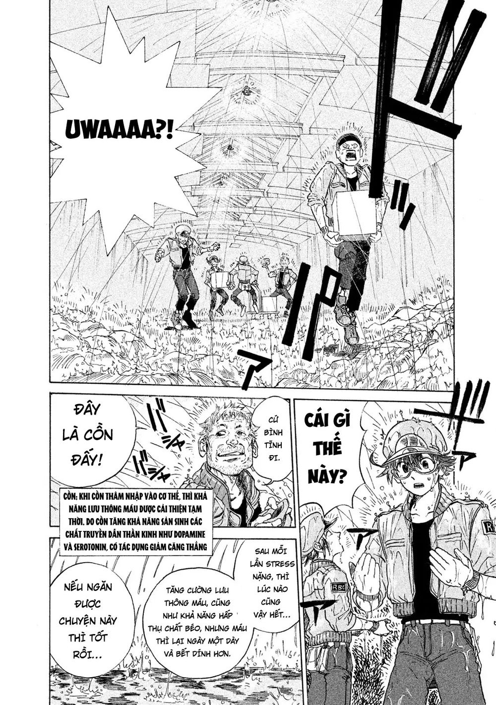 Hataraku Saibou Black - Chương 2 - Trang 4