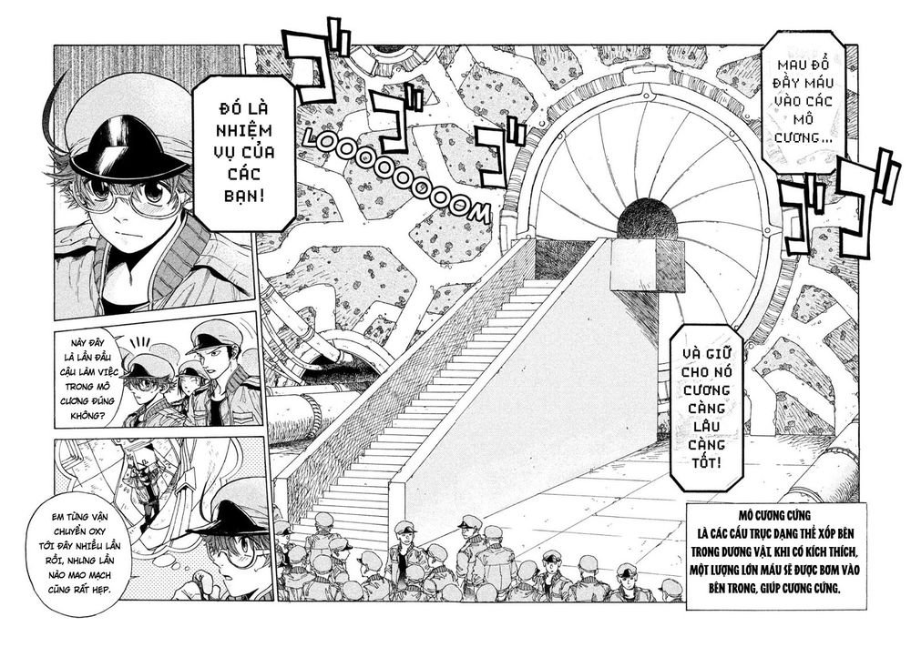 Hataraku Saibou Black - Chương 3 - Trang 4