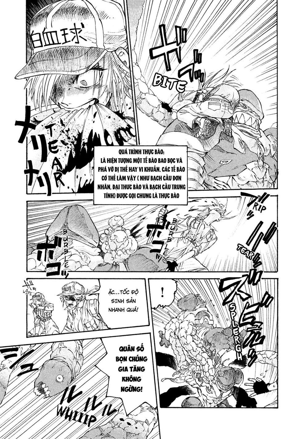 Hataraku Saibou Black - Chương 4 - Trang 15