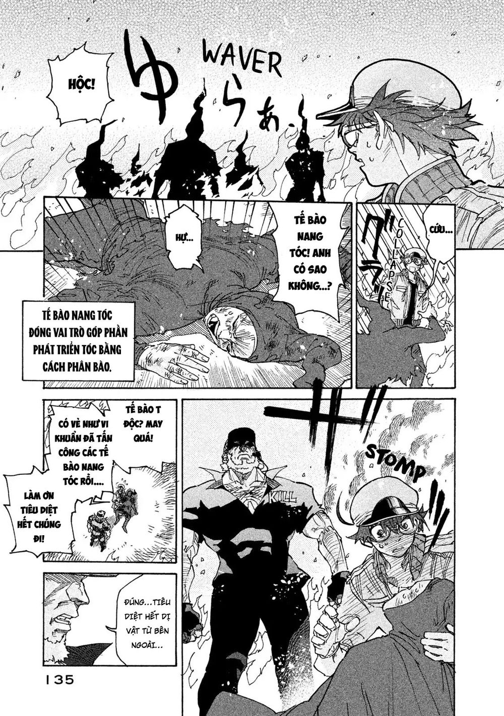 Hataraku Saibou Black - Chương 5 - Trang 9