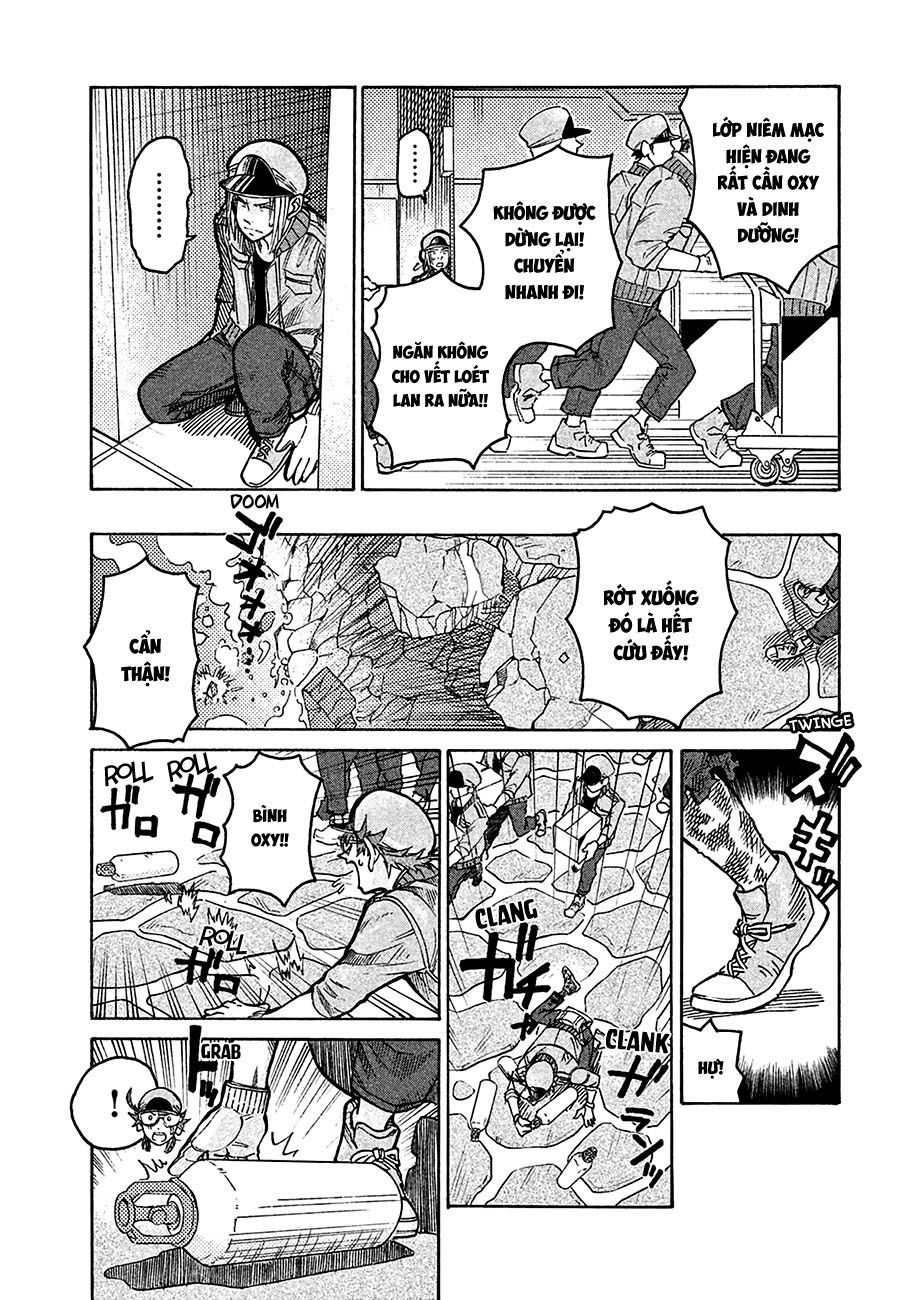 Hataraku Saibou Black - Chương 7 - Trang 15