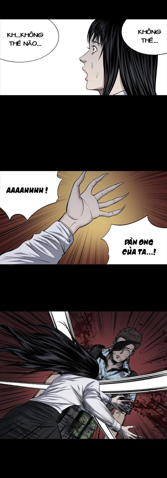 Hive - Chương 211 - Trang 37