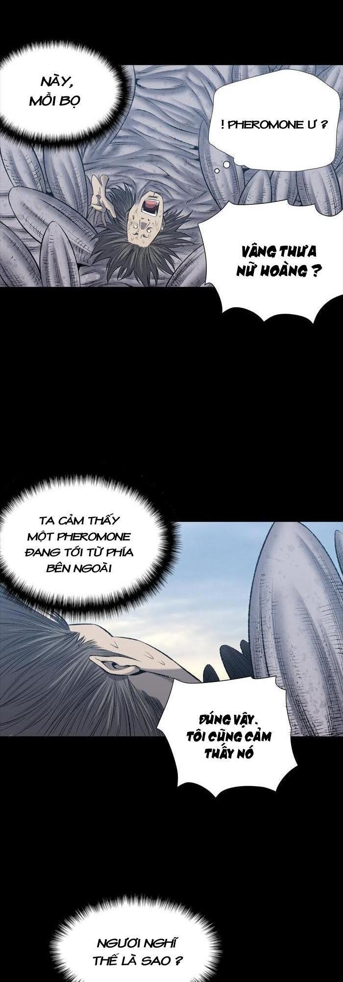 Hive - Chương 226 - Trang 14