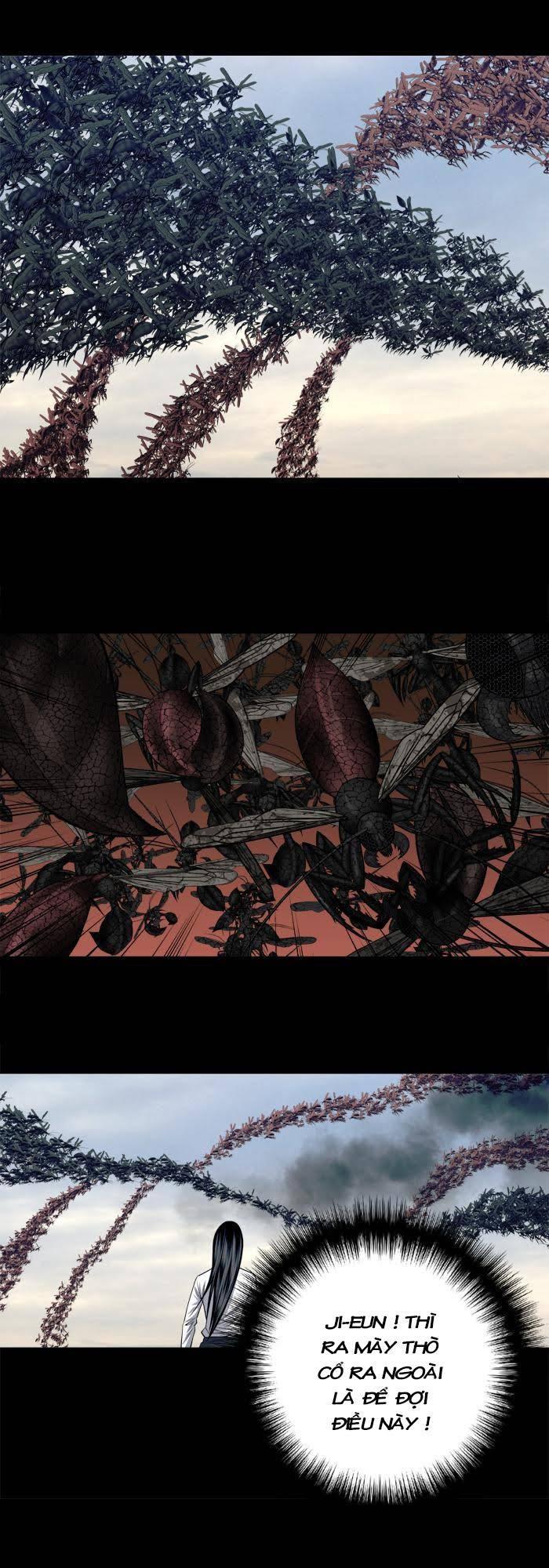 Hive - Chương 227 - Trang 17
