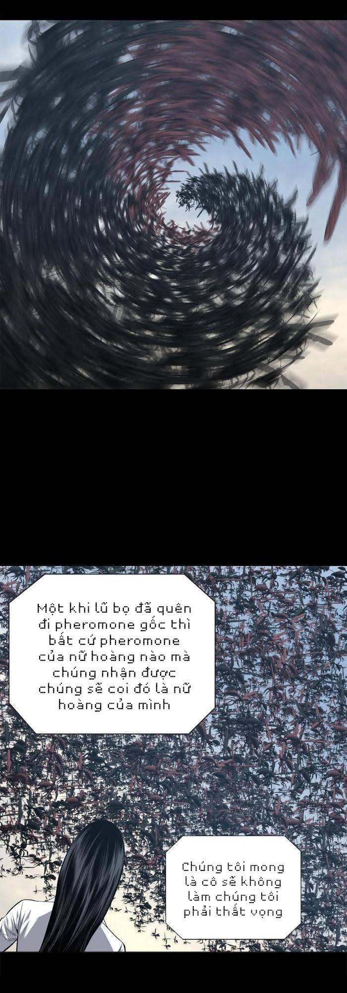 Hive - Chương 228 - Trang 25