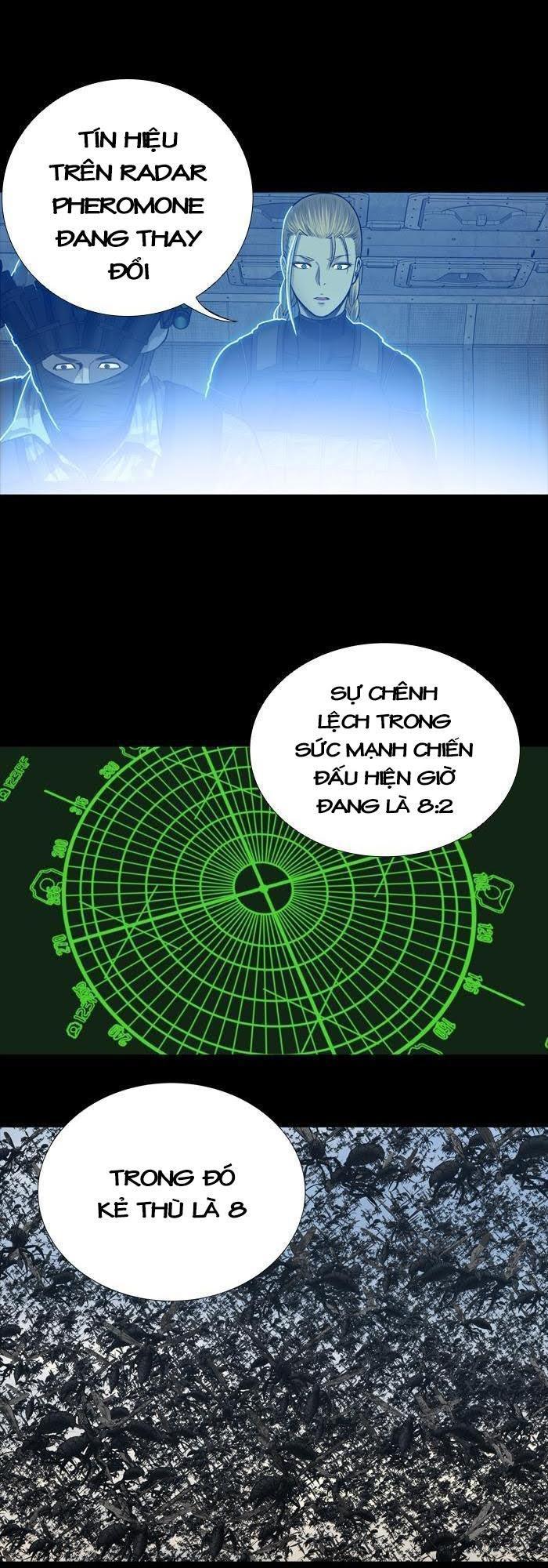 Hive - Chương 230 - Trang 23