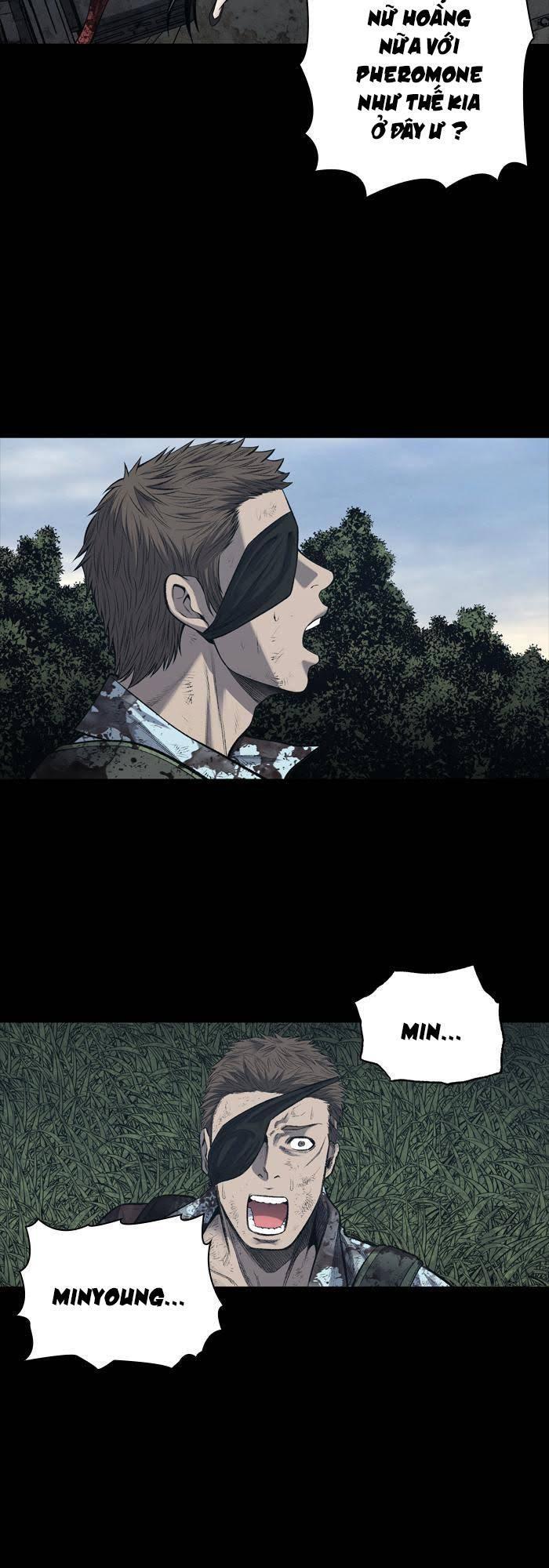 Hive - Chương 234 - Trang 4