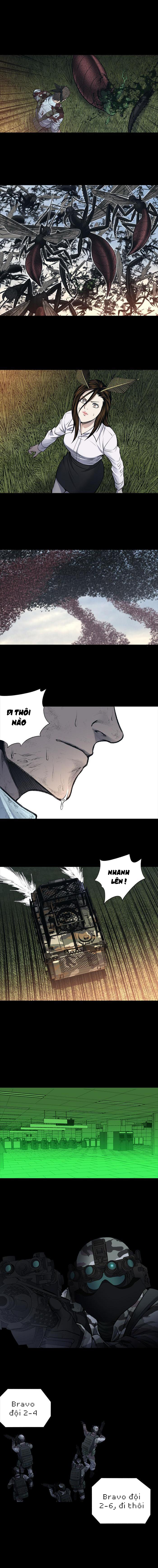 Hive - Chương 237 - Trang 6