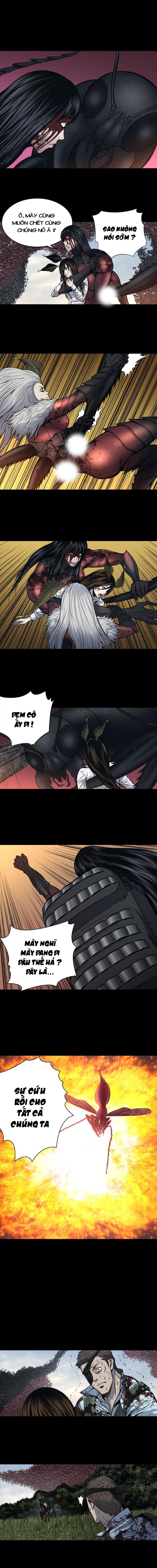 Hive - Chương 241 - Trang 5