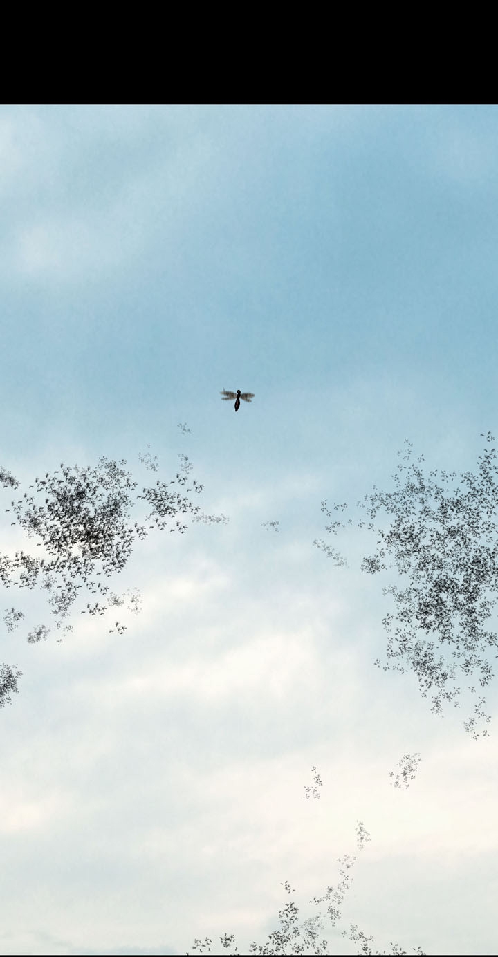 Hive - Chương 71 - Trang 45