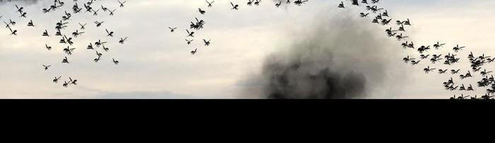 Hive - Chương 225 - Trang 8