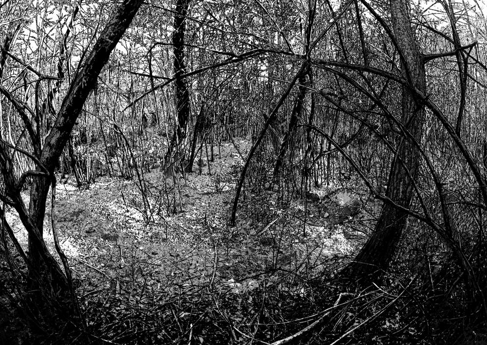 I Am A Hero - Chương 36 - Trang 5