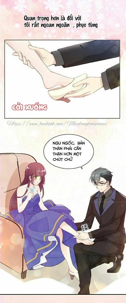 Tổng Tài Hai Mặt Sủng Thê Chỉ Nam - Chương 0 - Trang 16