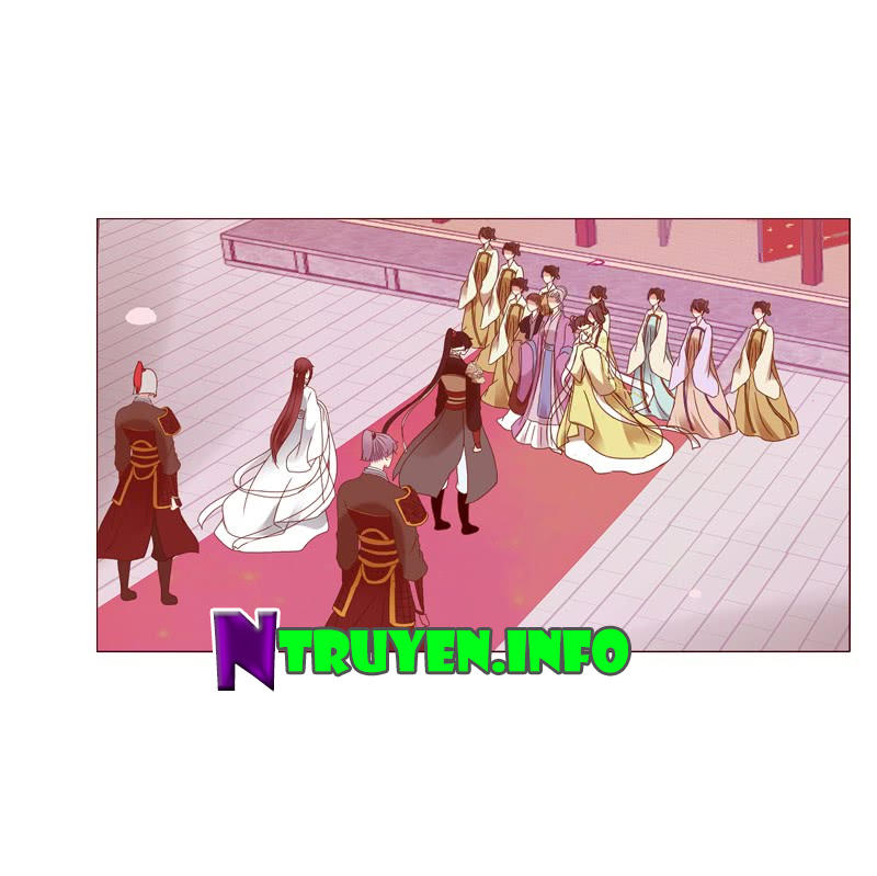 Tướng Quân Xin Xuất Chinh - Chương 16 - Trang 12