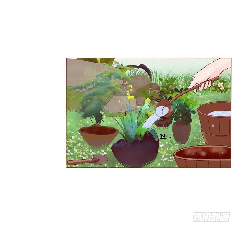 Tướng Quân Xin Xuất Chinh - Chương 2 - Trang 7