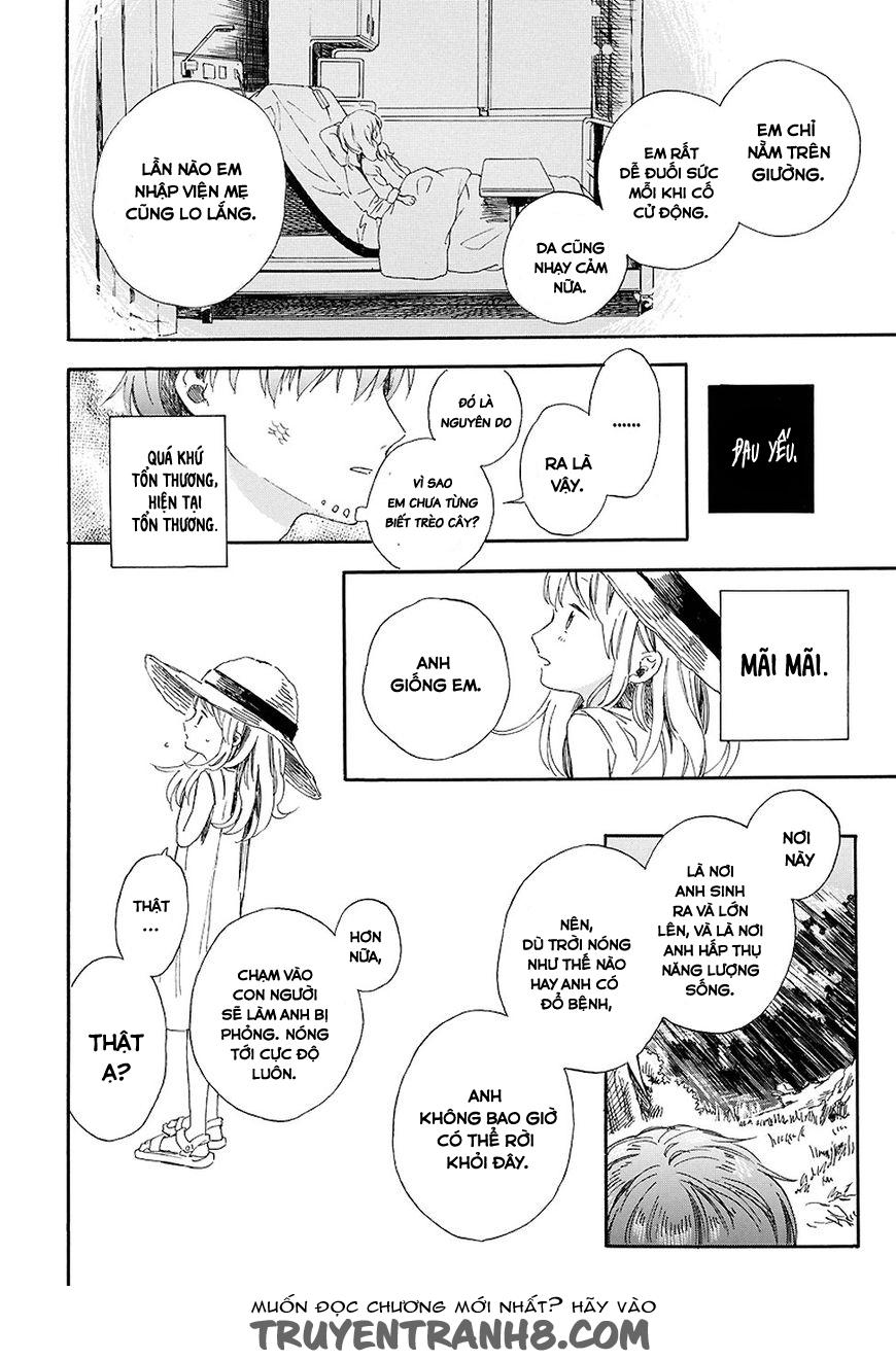 Mugiwara Boushi To Koi - Chương 0 - Trang 14