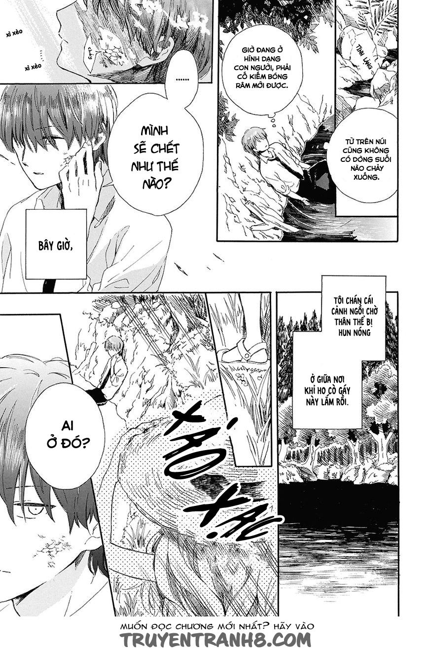 Mugiwara Boushi To Koi - Chương 0 - Trang 5