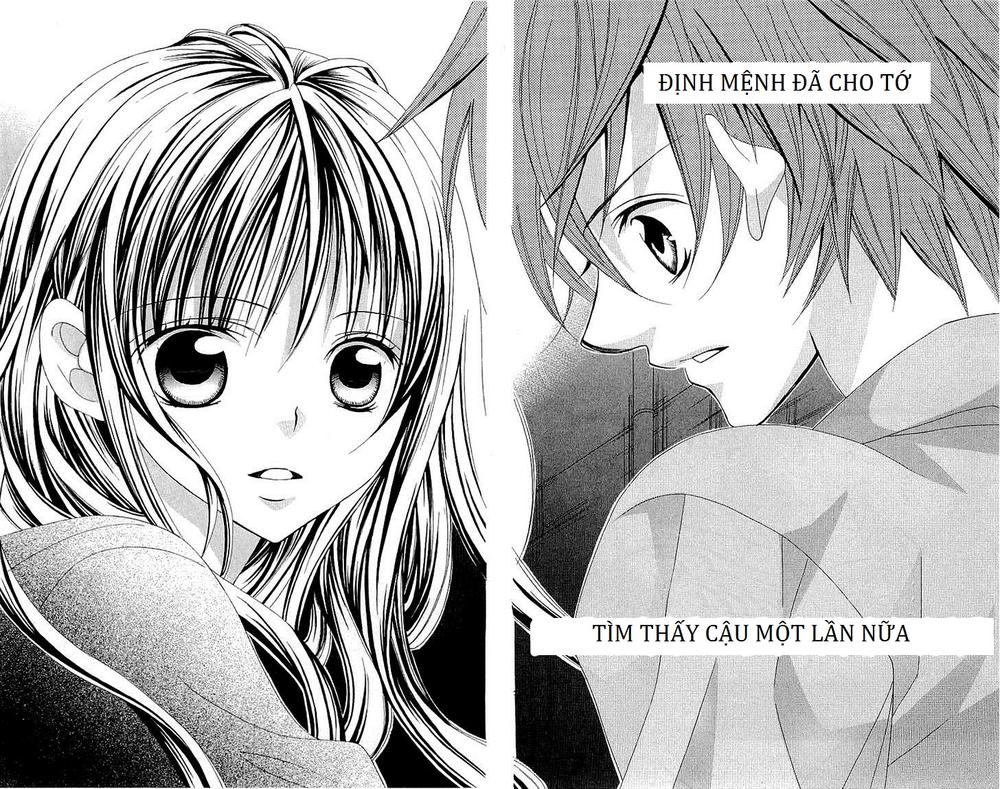 Mình Thích Cậu Đó, Suzuki - Chương 36 - Trang 19