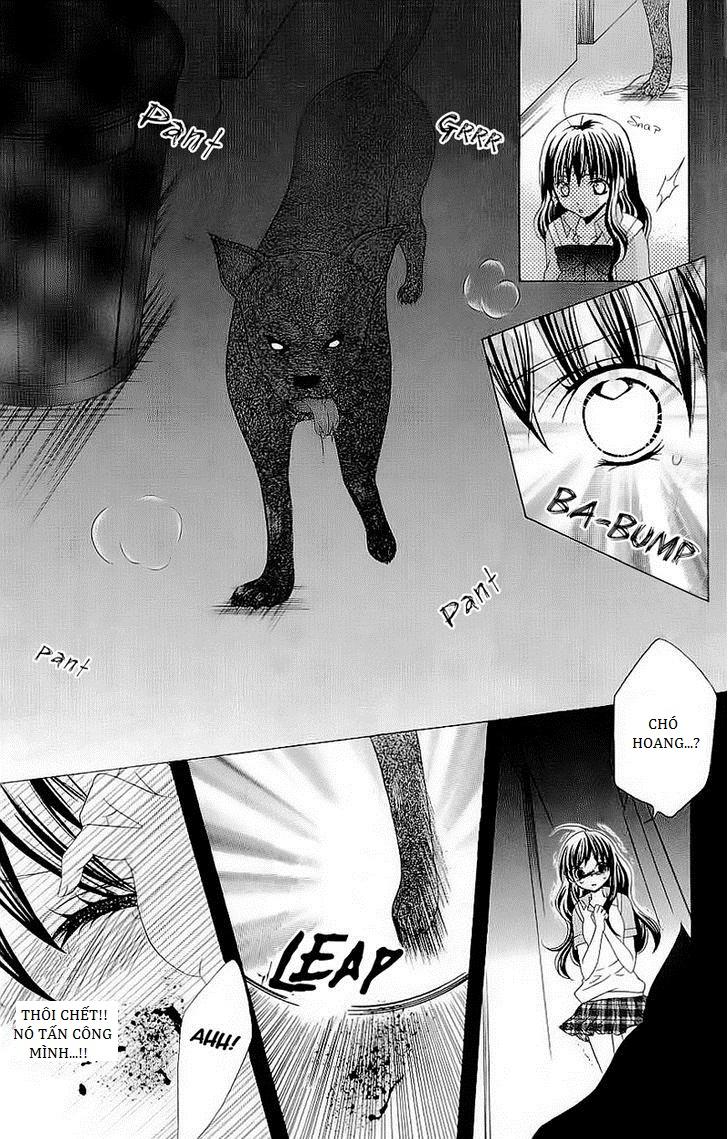 Mình Thích Cậu Đó, Suzuki - Chương 42 - Trang 13