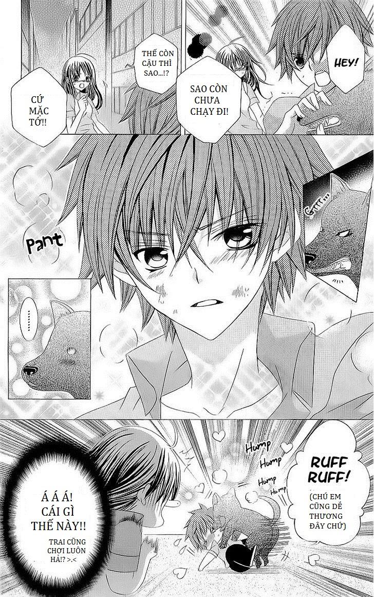 Mình Thích Cậu Đó, Suzuki - Chương 42 - Trang 16