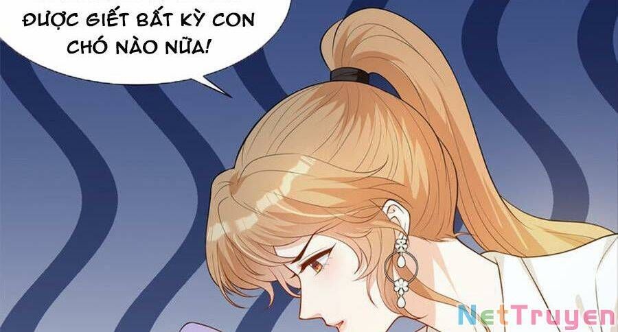 Khiêu Khích Xuyên Biên Giới - Chương 118 - Trang 67