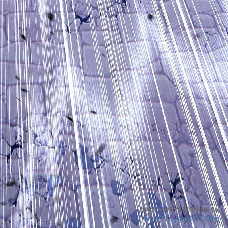 Gậy Gỗ Cấp 99+ - Chương 145 - Trang 181