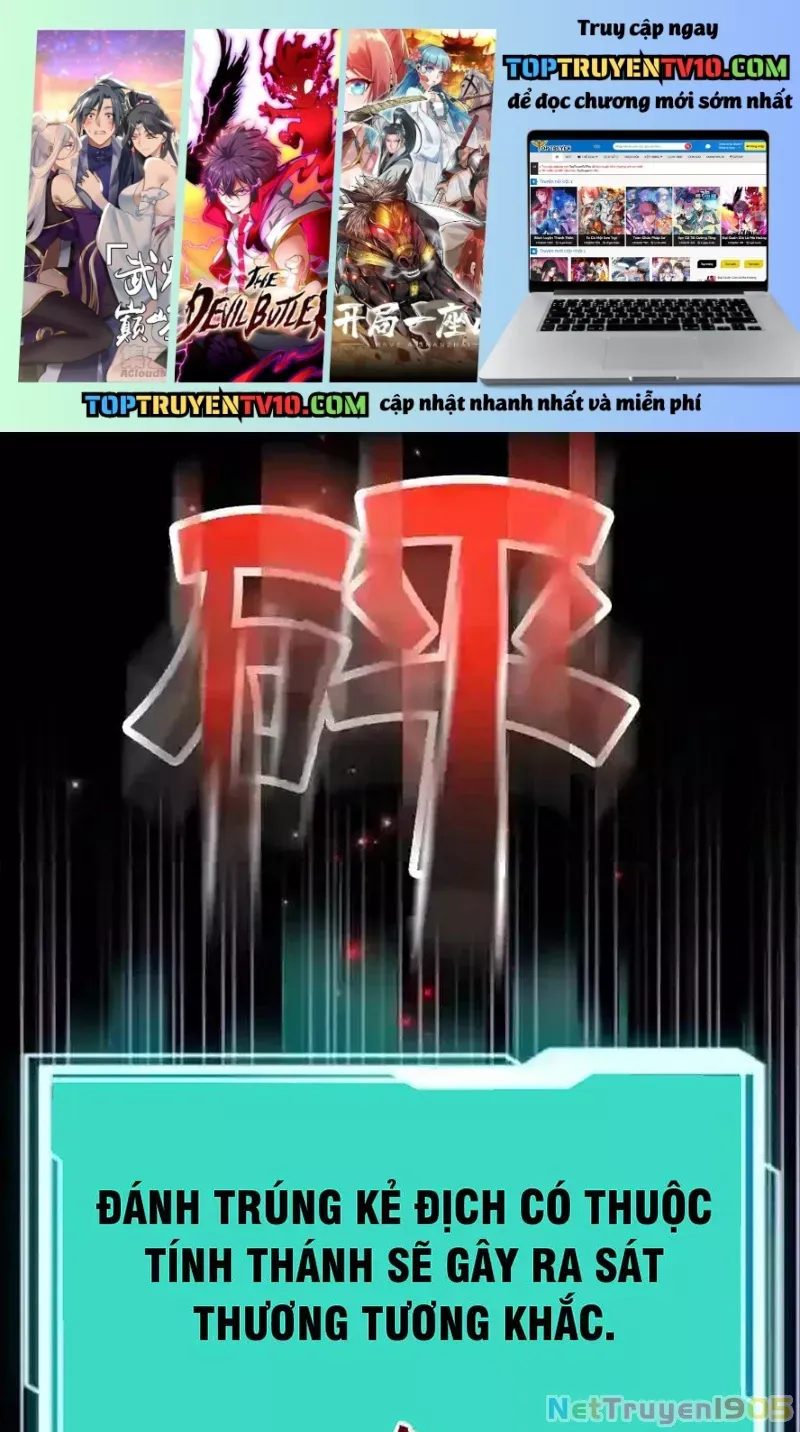 Tôi May Mắn Triệu Hồi Được Tinh Linh Hộ Vệ Hạng 10 - Chương 23 - Trang 2