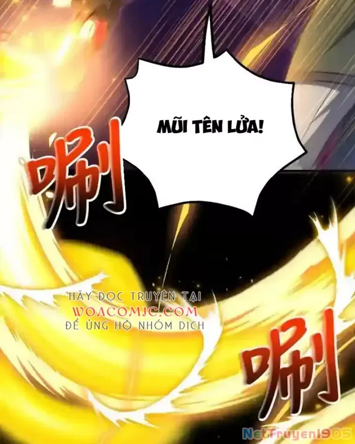 Tôi May Mắn Triệu Hồi Được Tinh Linh Hộ Vệ Hạng 10 - Chương 23 - Trang 15