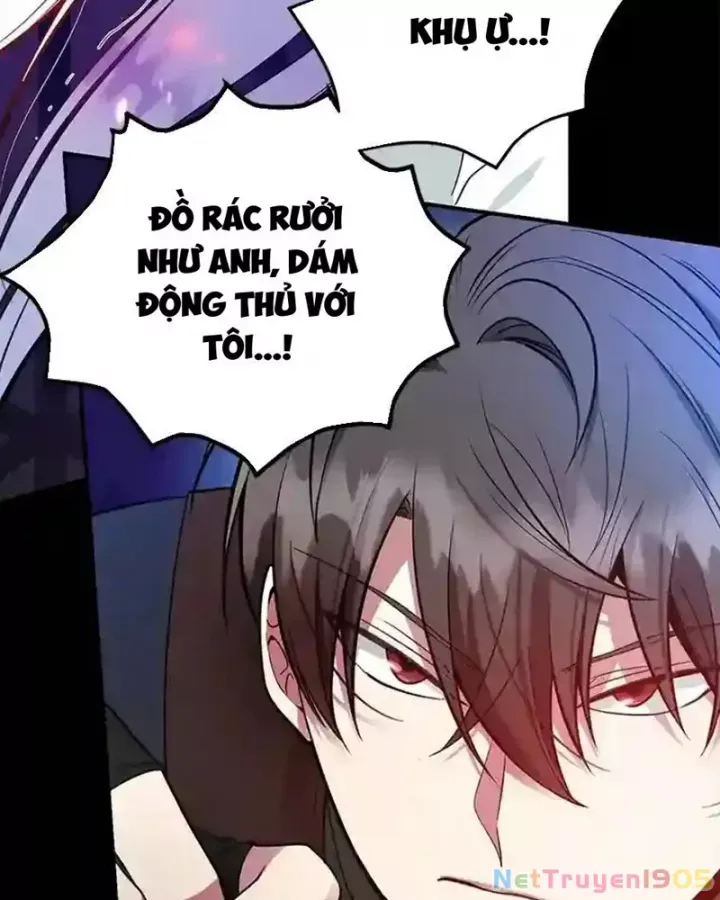 Tôi May Mắn Triệu Hồi Được Tinh Linh Hộ Vệ Hạng 10 - Chương 23 - Trang 5