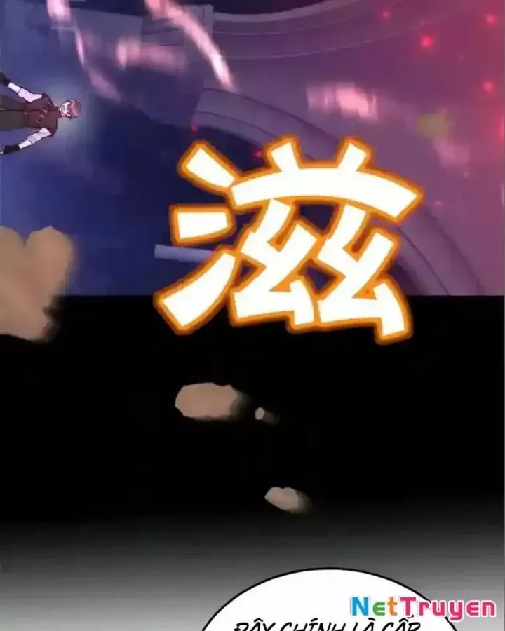Tôi May Mắn Triệu Hồi Được Tinh Linh Hộ Vệ Hạng 10 - Chương 24 - Trang 12