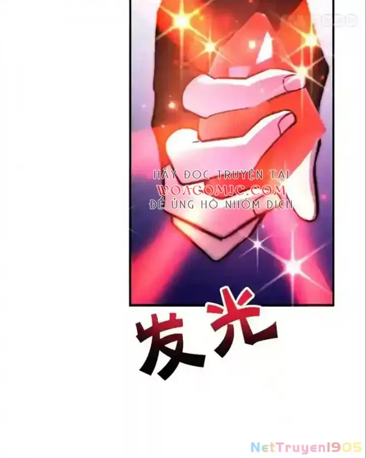 Tôi May Mắn Triệu Hồi Được Tinh Linh Hộ Vệ Hạng 10 - Chương 24 - Trang 25