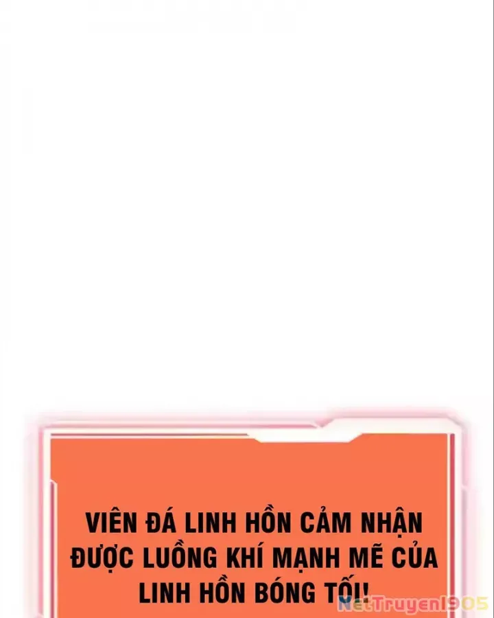 Tôi May Mắn Triệu Hồi Được Tinh Linh Hộ Vệ Hạng 10 - Chương 24 - Trang 26