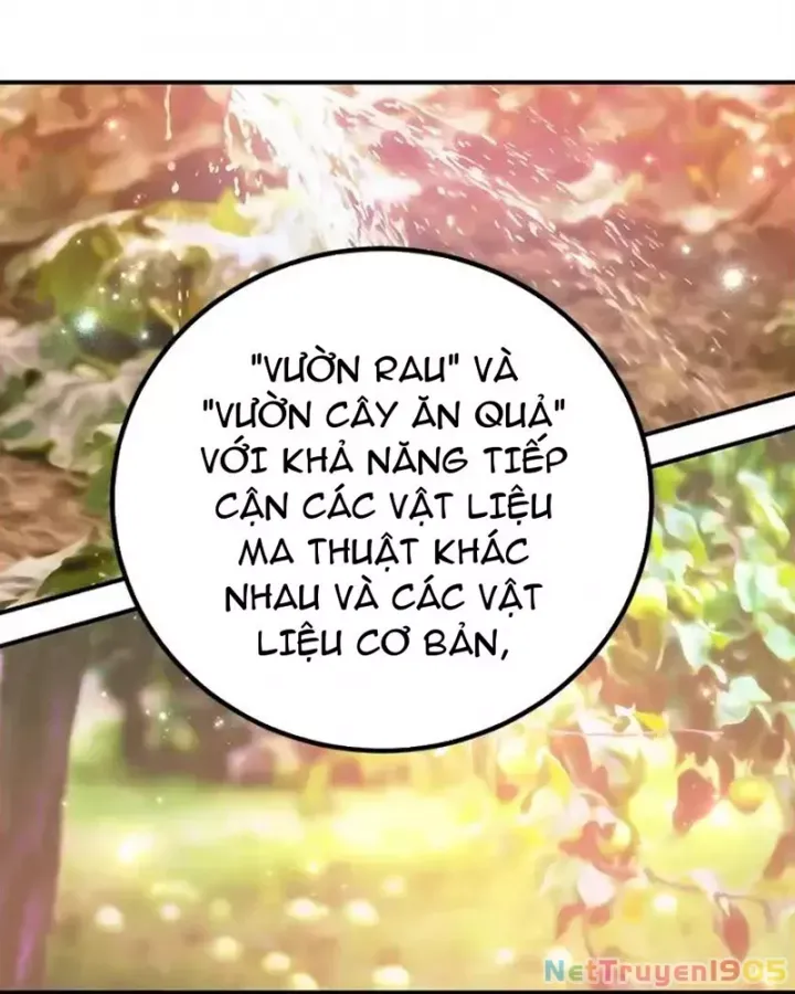 Tôi May Mắn Triệu Hồi Được Tinh Linh Hộ Vệ Hạng 10 - Chương 25 - Trang 49